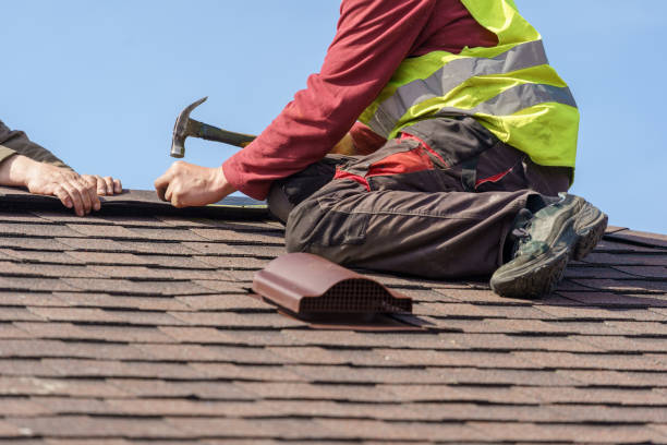 Best Roof Waterproofing Services  in Canyon Day, AZ